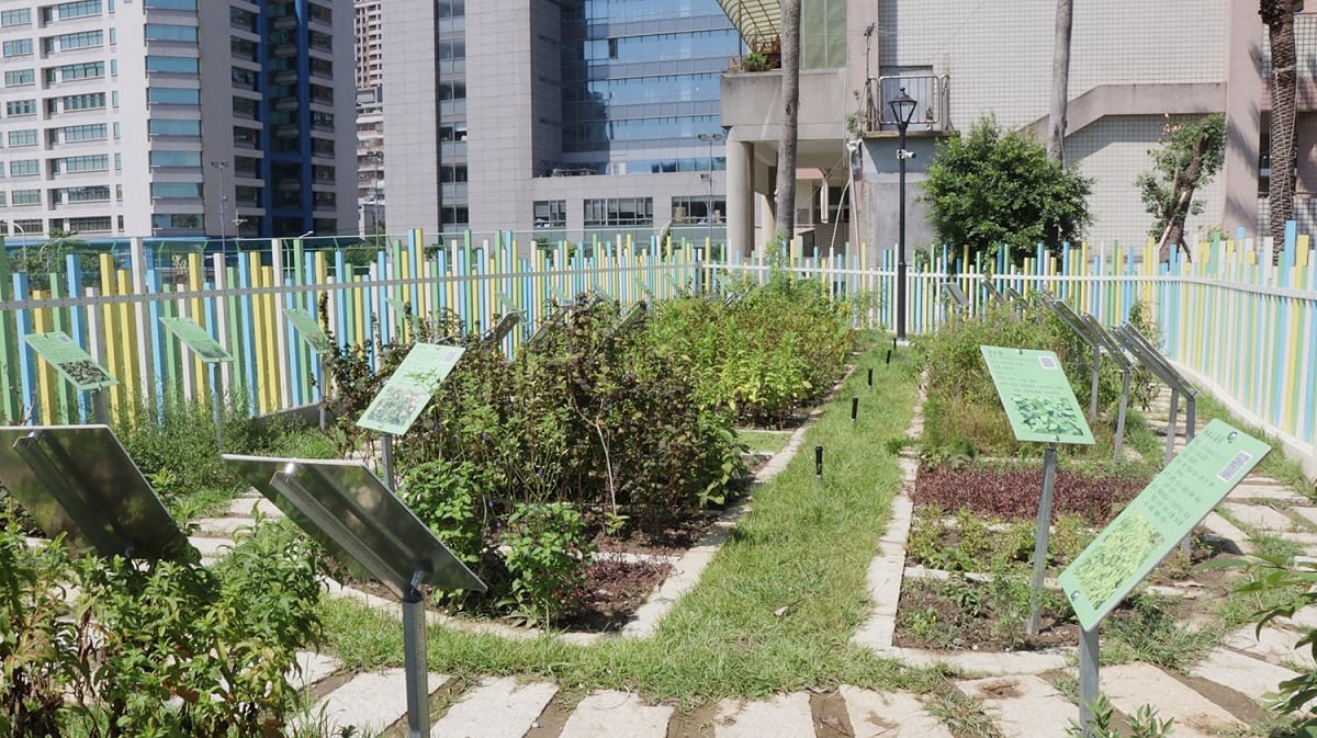 三重興榖國小旁神農百草公園完工啟用，園中的植栽和藥草園區，不但是興榖國小小朋友的最佳戶外教學場地，也成為社區民眾休閒放鬆的場所。 圖：新北市工務局提供