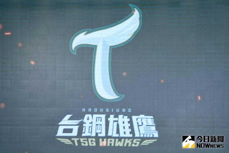 台鋼雄鷹隊徽。 圖：林調遜／攝