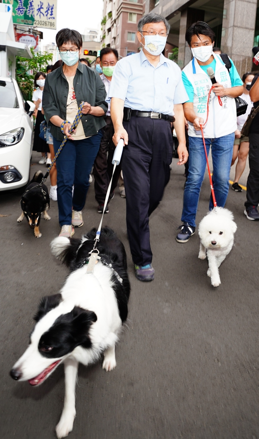 柯文哲牽著民眾領養來的邊境牧羊犬「點點」散步至審計新村，一路被狗遛。  圖：許瑞宏服務處/提供