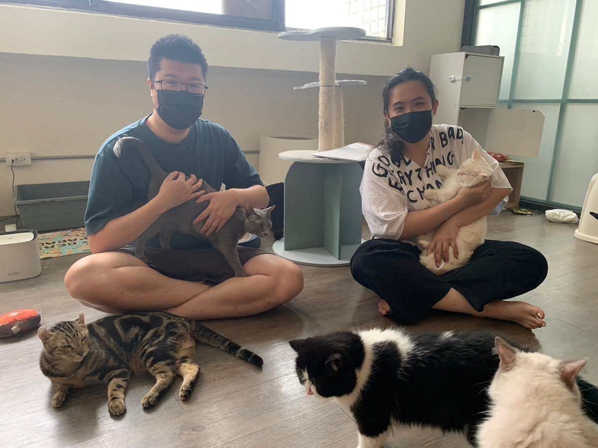毛怪樂園負責人心怡及大維表示，兩人是徹頭徹尾的貓奴。 圖：新北市動保處提供