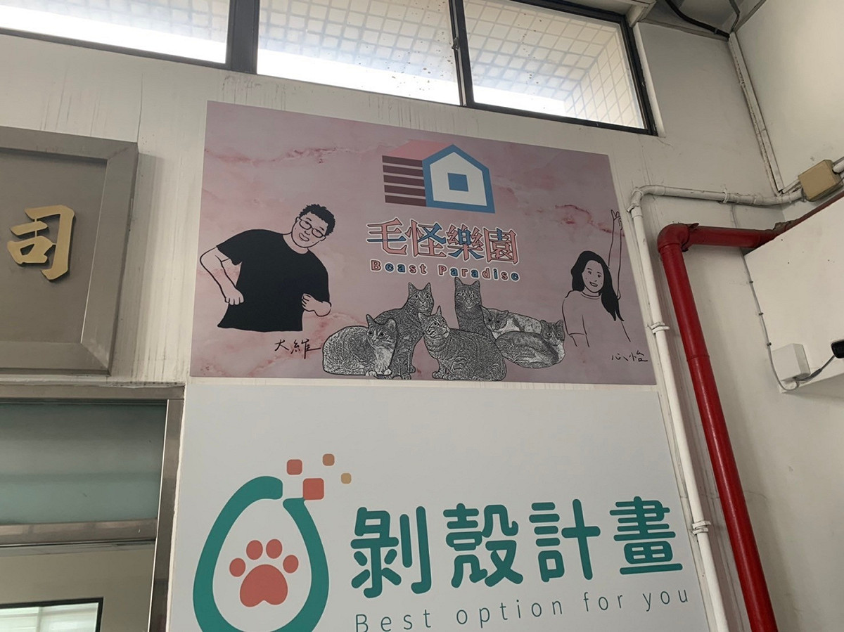 動保處首度在認養評估階段與動物團體合作。 圖：新北市動保處提供