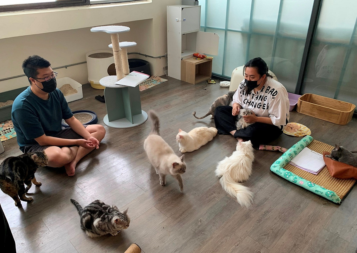毛怪樂園為了照顧這些受傷的毛寶貝特別佈置收容空間。 圖：新北市動保處提供