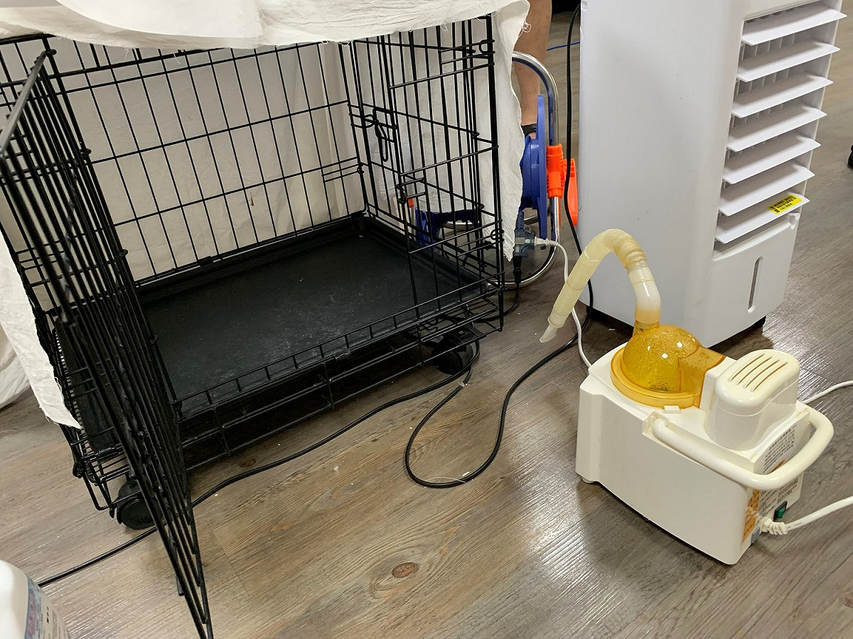 毛怪樂園專門購置噴霧設備減緩貓咪們的呼吸症狀。 圖：新北市動保處提供