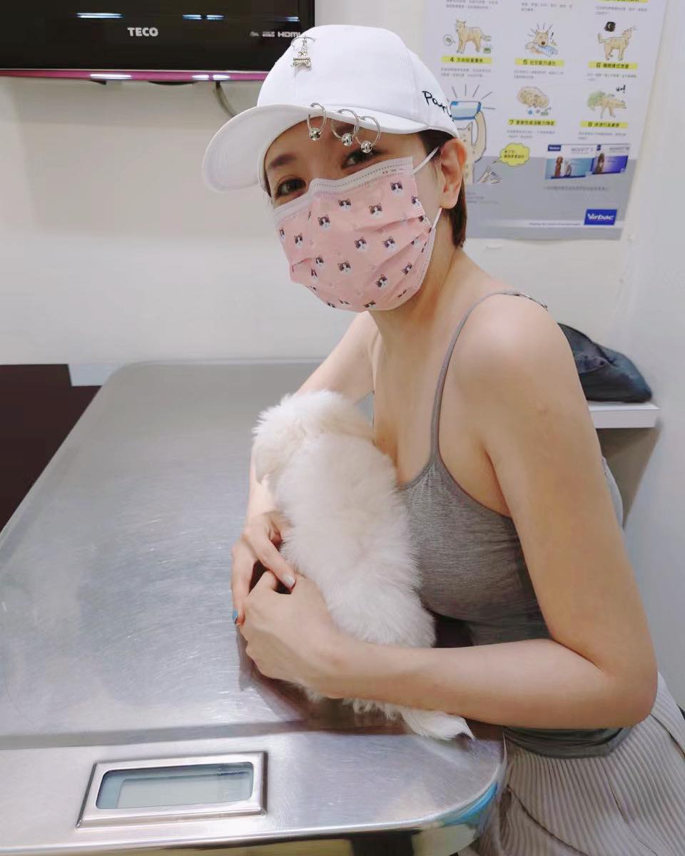 藝人李妍憬昨日在臉書分享帶毛孩打疫苗的過程。 圖：翻攝自李妍憬臉書