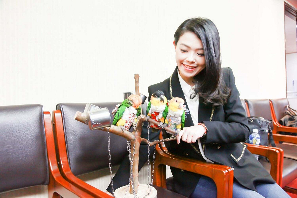 今年3月21日，高虹安臉書po出她獲得動物保護立法運動聯盟肯定她的訊息，其中1張是安排她與綁著鐵鍊的3隻鸚鵡合照，卻被批評錯誤示範。 圖：翻攝自高虹安臉書
