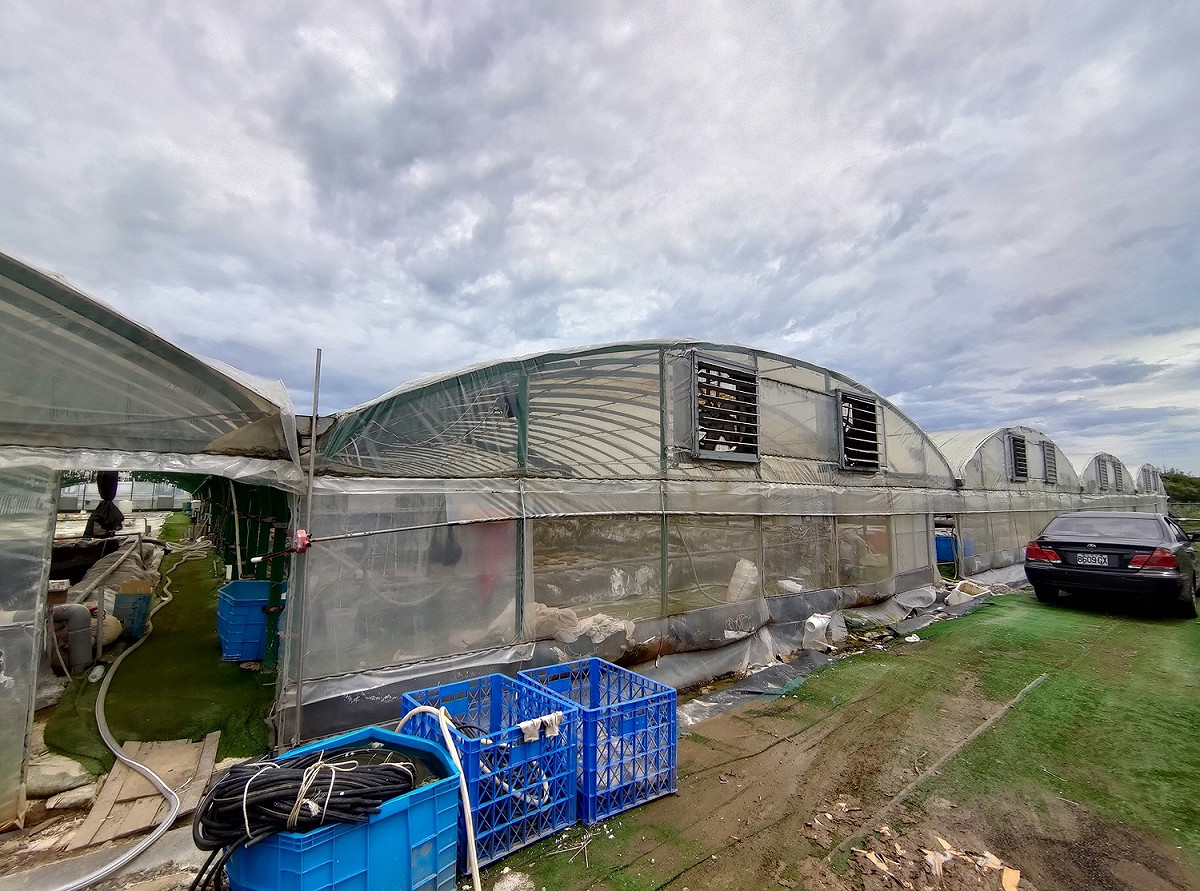 白蝦養殖廠備有各種水過濾設備以及防鳥設施。 圖：新北市動保處提供