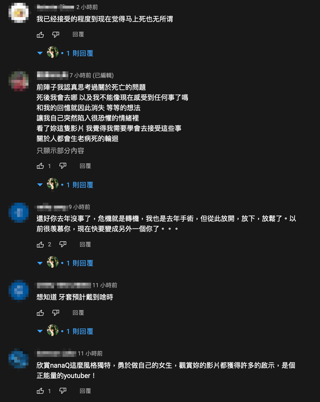 看完的粉絲也紛紛留言各自的看法，大讚是一支很有內容的影片。 圖：翻攝自NanaQ YT頻道