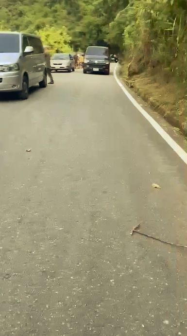 多輛車被困花蓮山區。 圖:讀者提供