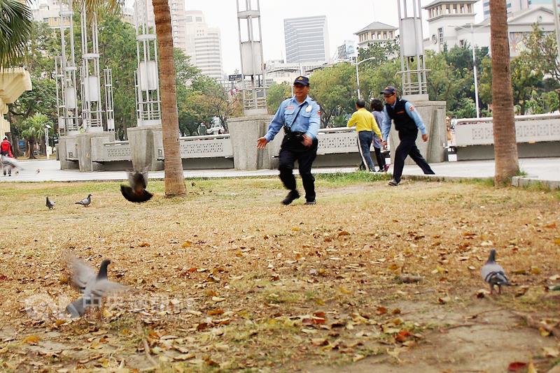 高市衛生局今年首例H7N9病例，防疫單位列管追蹤139名個案相關接觸者，其中有1人出現感冒症狀，己完成採樣檢驗。圖為高雄市立文化中心園區平日野鴿群聚，主管機關加派警衛協助驅趕鴿群。 圖：中央社資料照片