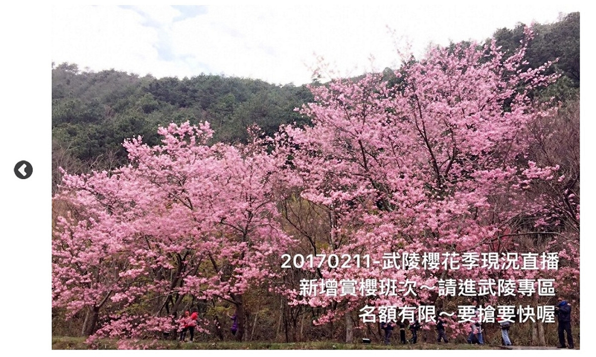 台北市蝶戀花旅行社專門經營國內一日或數日旅遊行程。 圖：翻攝自蝶戀花旅行社網站