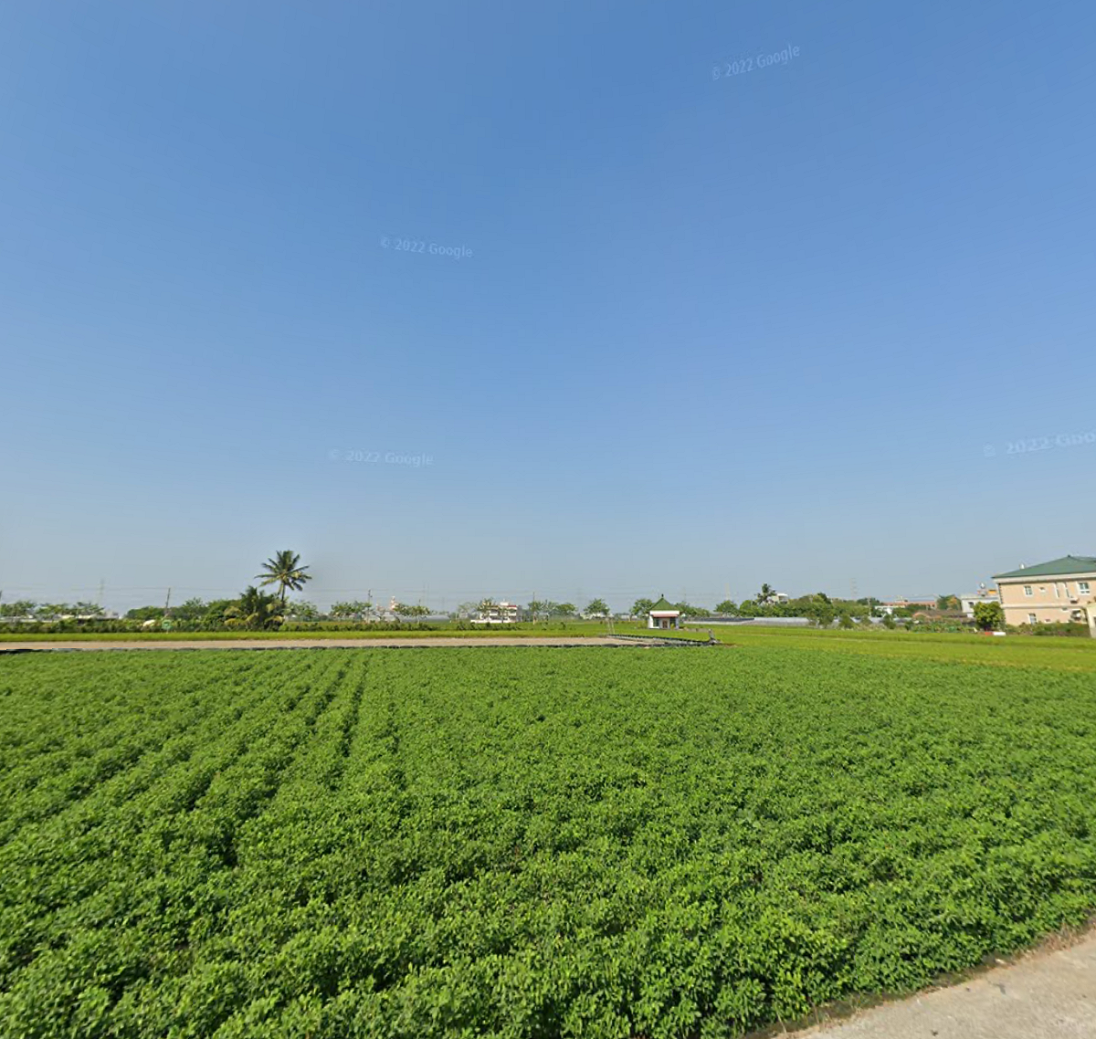 嘉南地區是下一個可能發生大地震的地方。 圖：翻攝自Google map