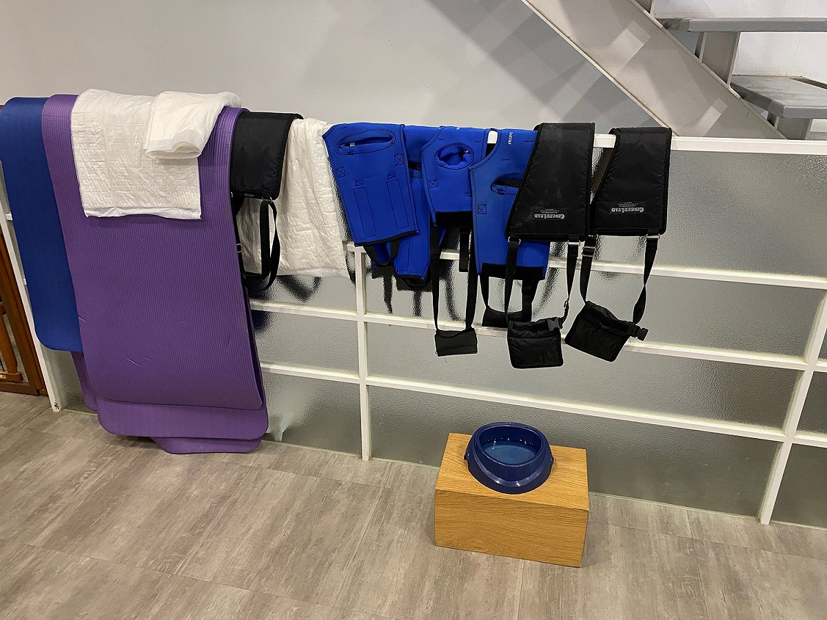 動物醫院復健輔具。 圖：新北市動保處提供