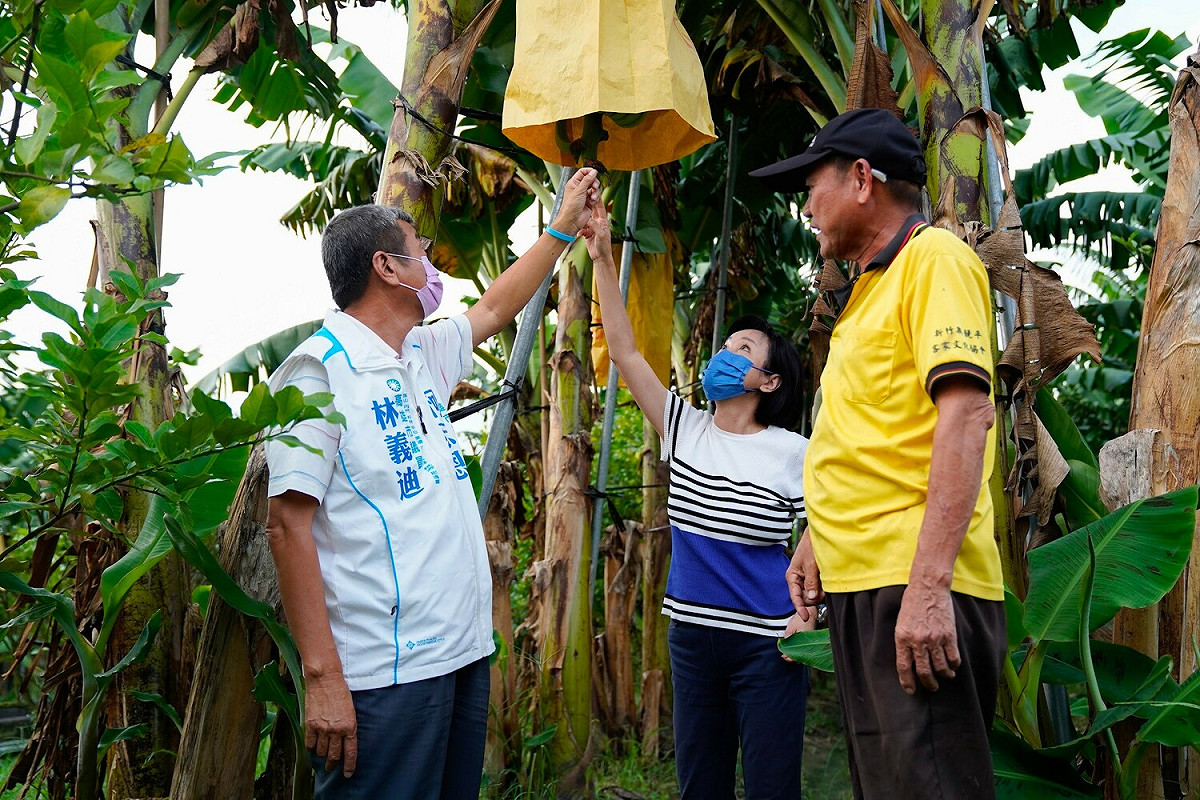 柯志恩(中)走訪旗山香蕉產地。 圖：柯志恩競辦提供
