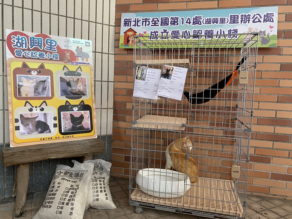 歡迎汐止區民眾和郭書成里長預約前往湖興里認養小棧看貓。 圖：新北市動保處提供