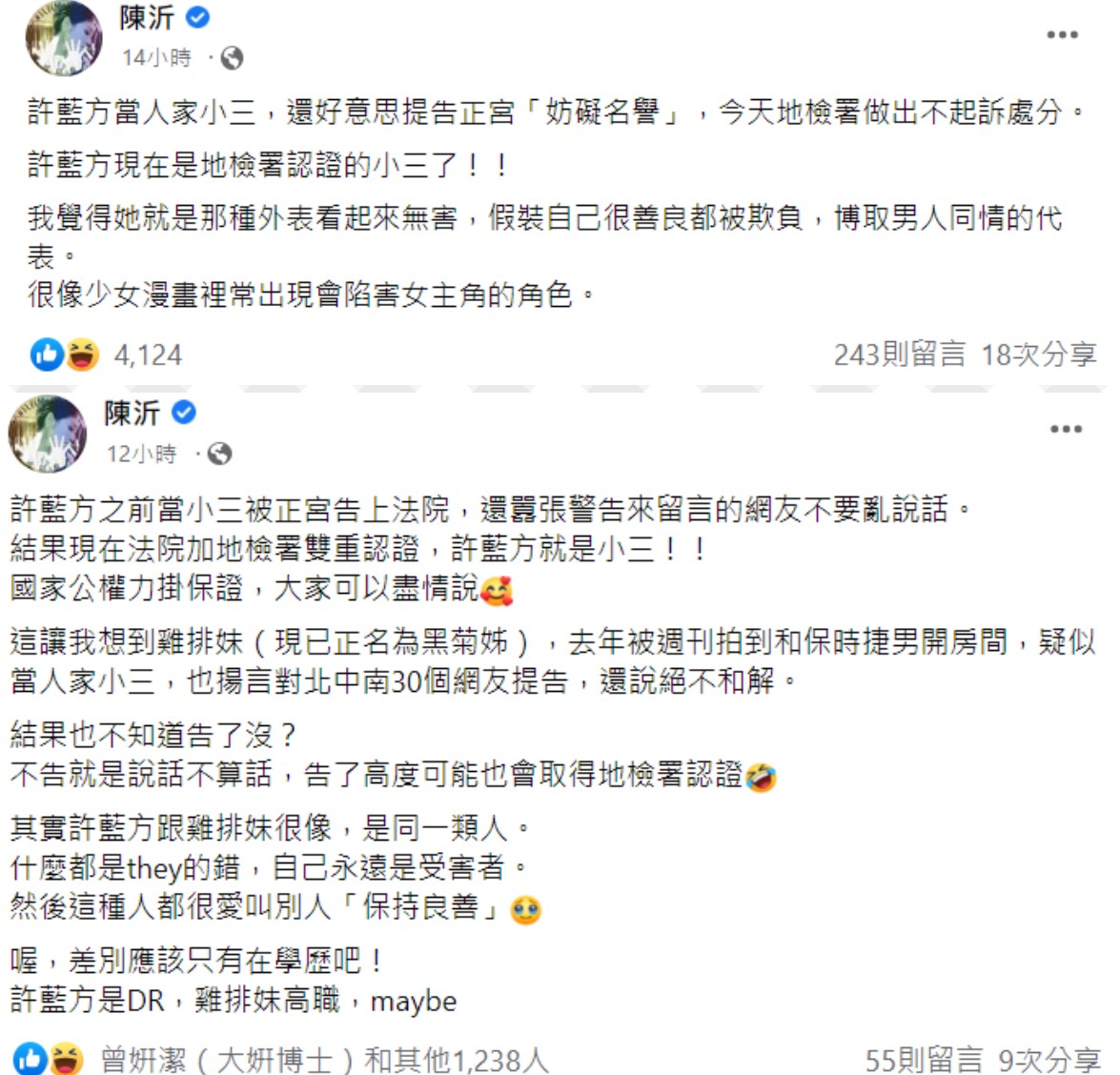 陳沂直言「法院加地檢署雙重認證，許藍方就是小三！」 圖：翻攝自陳沂臉書