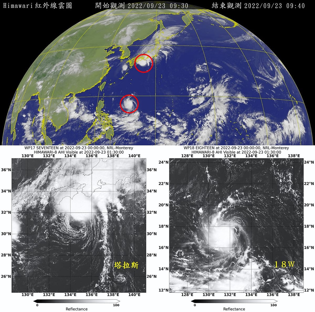 有網友把TD19和「塔拉斯」做對照，認為TD19發展更好。 圖：取自鄭明典臉書