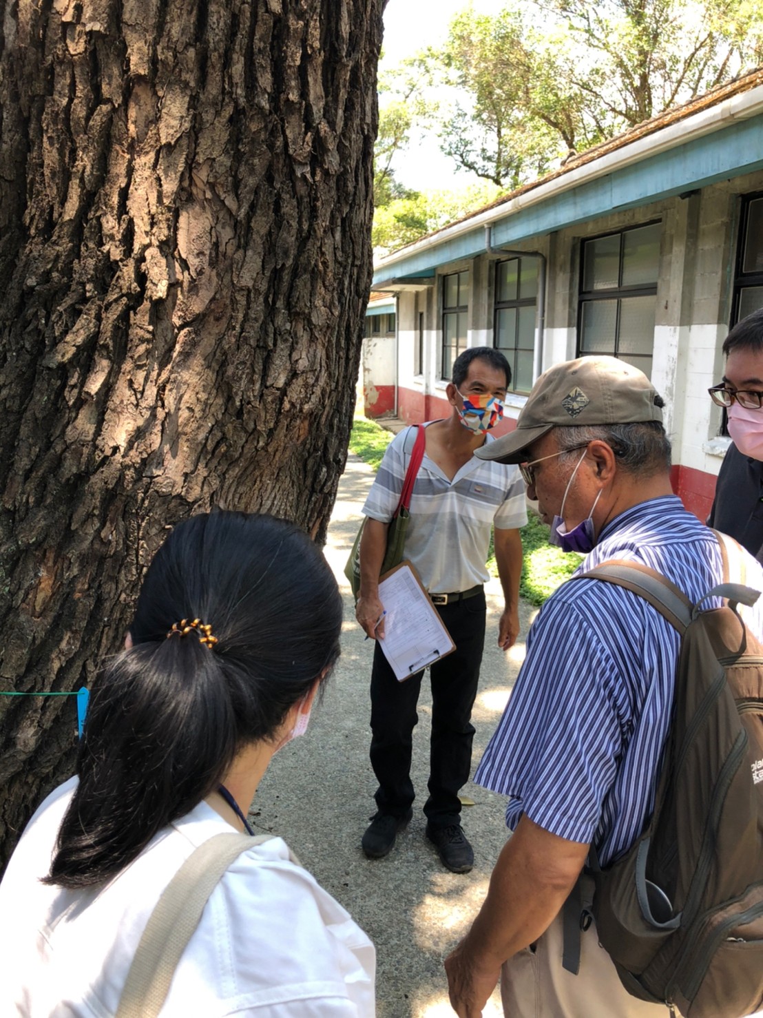 新北市樹木保護委員共同至現場確認樹木生長情形。 圖：新北市景觀處提供