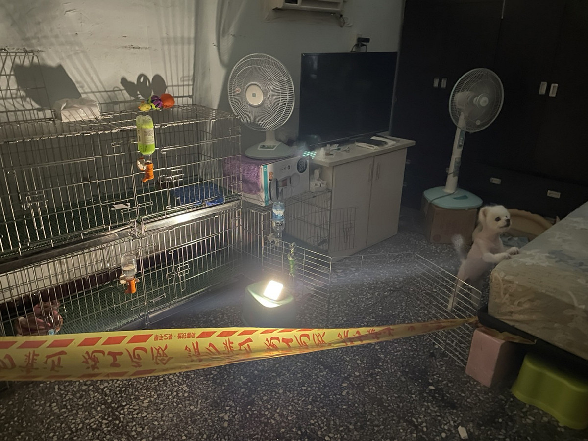 現場拉起封鎖線管制。 圖：新北市動保處提供