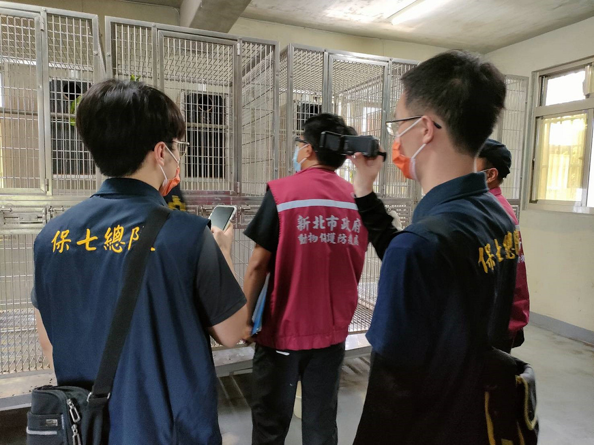 人員與保七確認籠內鸚鵡總數。 圖：新北市動保處提供