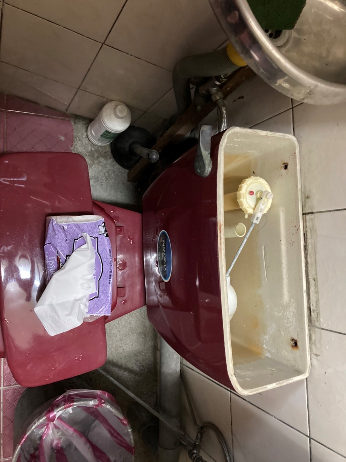 行為人將緬甸星龜藏於廁所水箱蓋內，所幸人員察覺奇怪聲音，打開後便發現動物藏匿其中。 圖：新北市動保處提供