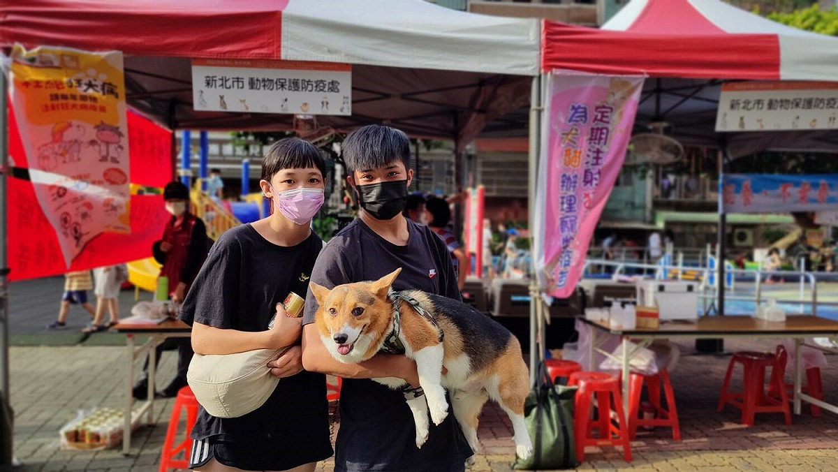111年泰山區巡迴注射。 圖：新北市動保處提供