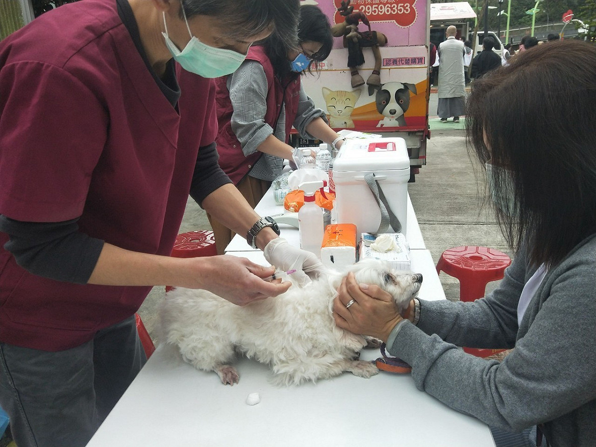 111年深坑區巡迴注射。 圖：新北市動保處提供