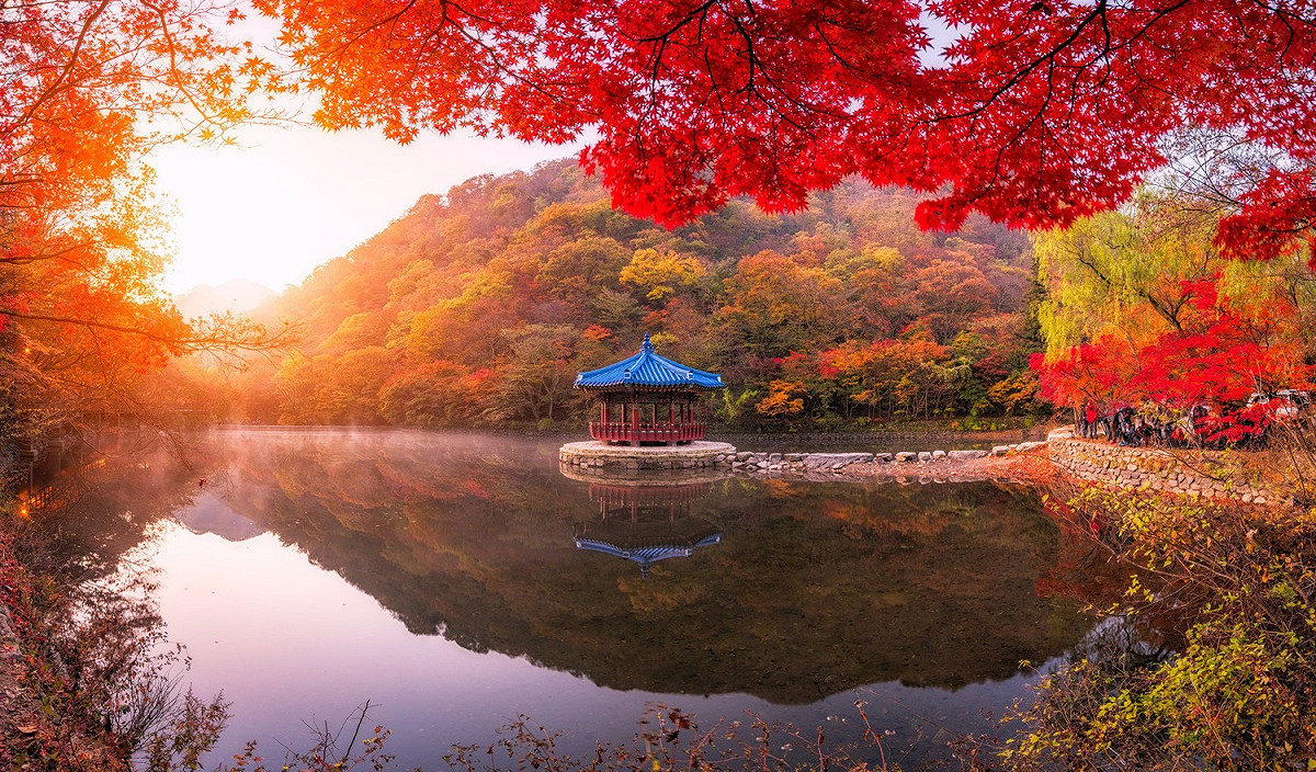 韓國內藏山。 圖：取自可樂旅遊臉書