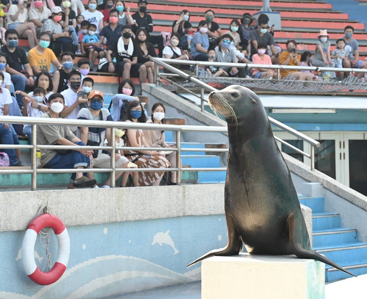 國旅遊樂園補助預計到10/7就會結束。 圖：交通部觀光局／提供