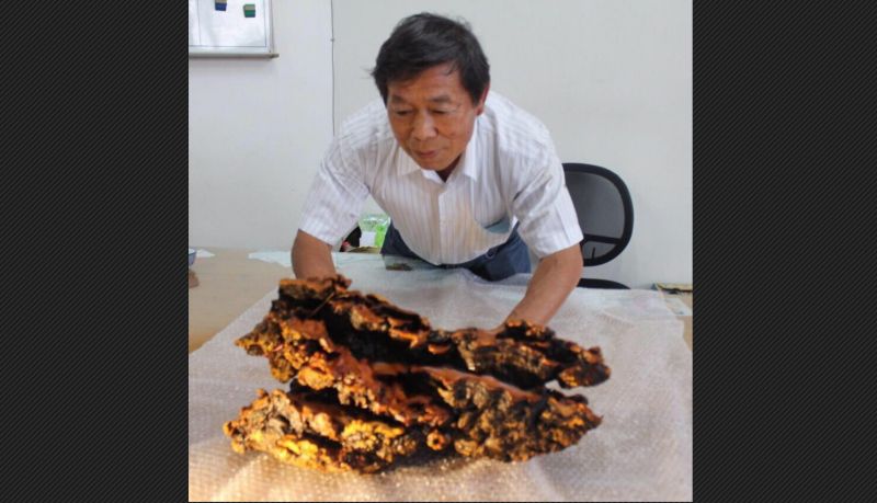 ▲南投縣草屯鎮中正路的康建生技公司，7/14晚間6點多發生一起4死的重大槍擊案，而有「牛樟芝之父」之稱的賴敏男則幸運撿回一命。（圖／翻攝自賴敏男臉書）