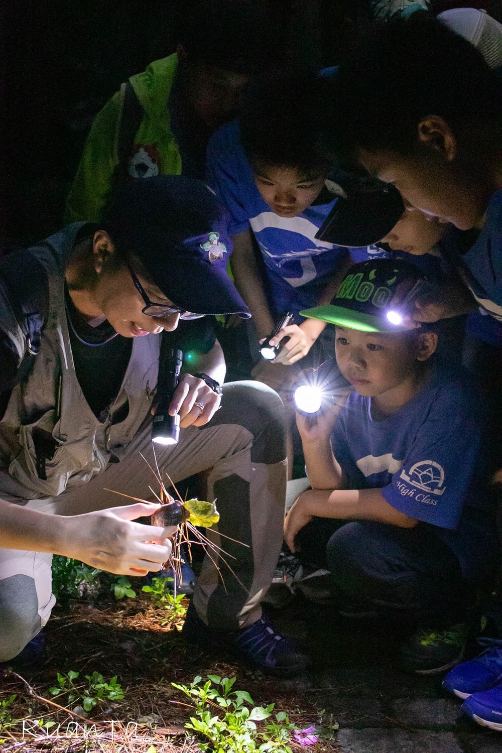八仙山森林豐盛季「森夜小精靈」，觀察夜間出沒的小生物。 圖：八仙山自然教育中心／提供