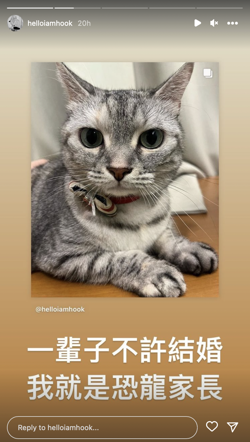 她還喊話愛貓「不許結婚！」 圖：翻攝自HOOK IG