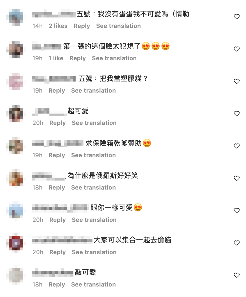 不過，眼尖網友發現沒有「五號」，也立馬為牠打抱不平。 圖：翻攝自HOOK IG
