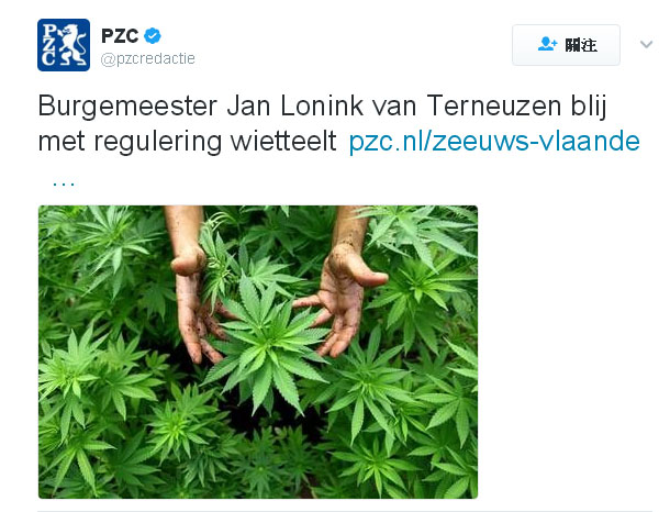 荷蘭議員提案大規模種植大麻合法化，通過第1關，已經引起正反論戰。 圖：翻攝荷蘭PZC推特