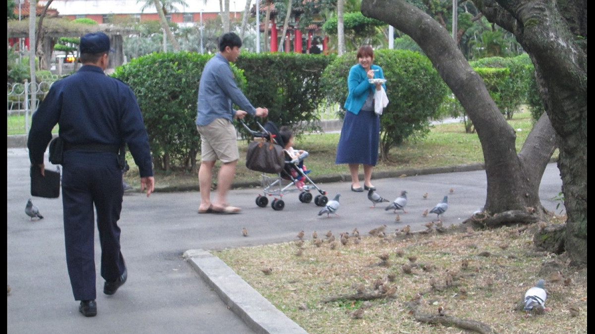禽流感疫情不斷升溫，台北市政府要求公園駐衛警加強勸導、取締餵食野鴿禽鳥之民眾，對於不聽從勸導或者曾經勸導卻又重複餵食的民眾，將會依法開立裁處書裁罰，將處新臺幣1200元以上6000元以下罰鍰。 圖：翻攝自台北市政府網站