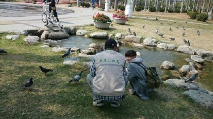 高雄市加強禽流感防疫，各公園、水塘公告禁止餵鳥。 圖：高雄市養工處