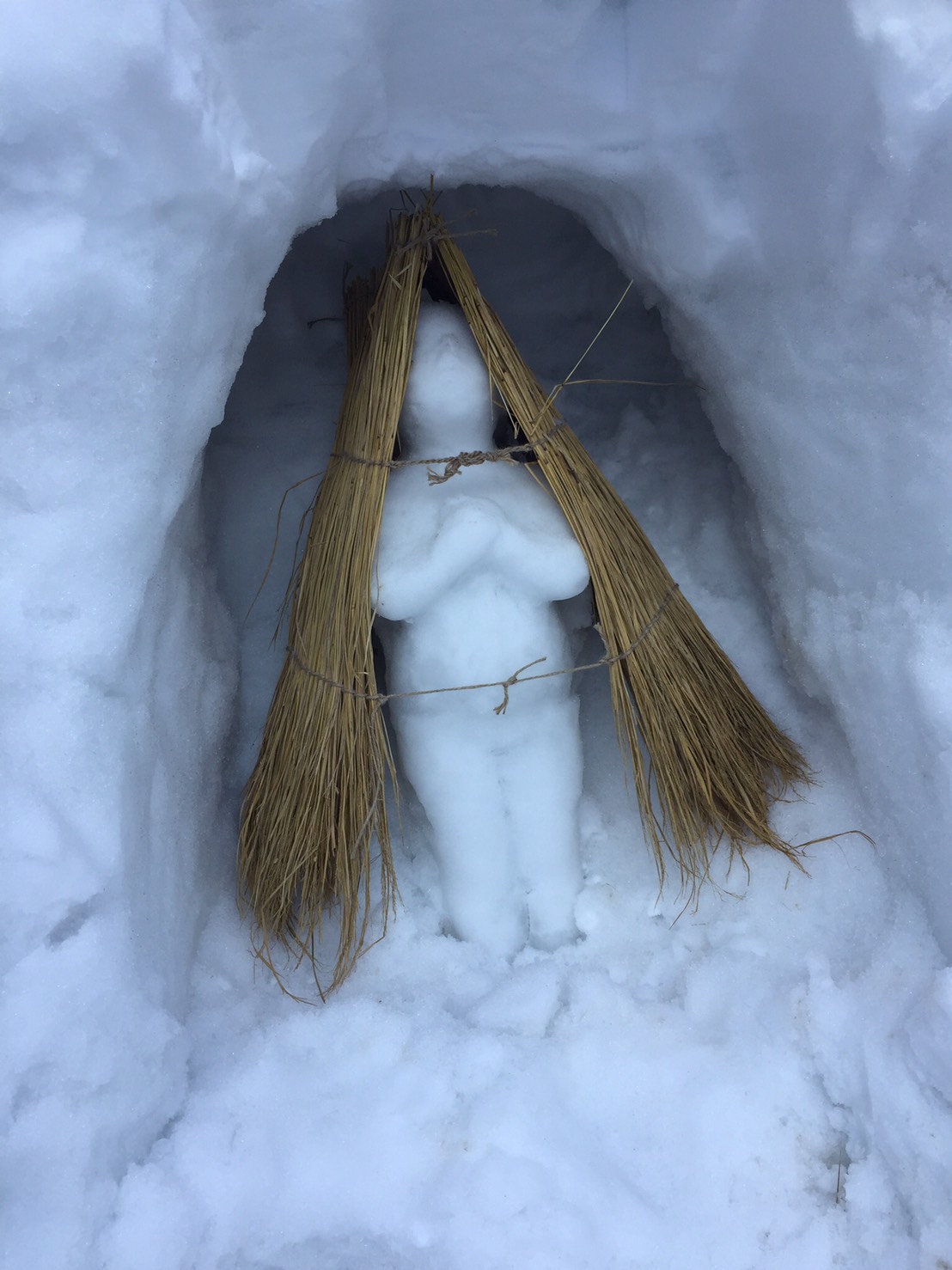 雪精靈、水仙花，在大師的巧手下，成為對環境毫無負擔的「環境裝置藝術」，也為大地注入了全新的藝術表情。 圖：林舜龍提供