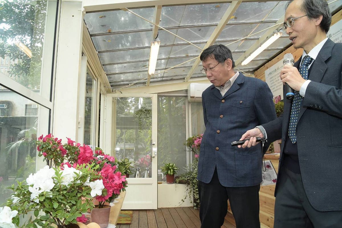 柯市長今天與臺大楊校長也共同為這次花節特別打造的臺大「園藝花坊展覽溫室」進行揭幕，這座從日治時代就在臺大建造完成的溫室花坊，由臺大園藝系重新改建復原，保留其中從日治時代就設置的特殊防蟲設備，還有多種特殊品種的杜鵑展示。 圖：翻攝自台北市政府網站