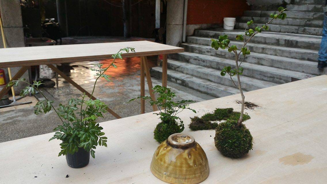 3月12日展覽閉幕現場展示的手作苔球。
 圖：翻攝自基隆市政府網站