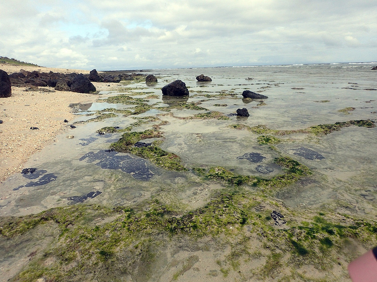 綠島海岸油污染的禍首，環保署12日表示，在努力追查後，已鎖定一艘可疑船舶，後續將依法追查或求償。 圖:行政院環保署提供