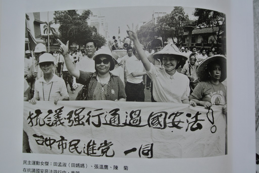 抗議政府通過國安法，田媽媽（右起）、張溫鷹、陳菊等人走上街頭。 圖：翻攝自宋隆泉老師攝影集