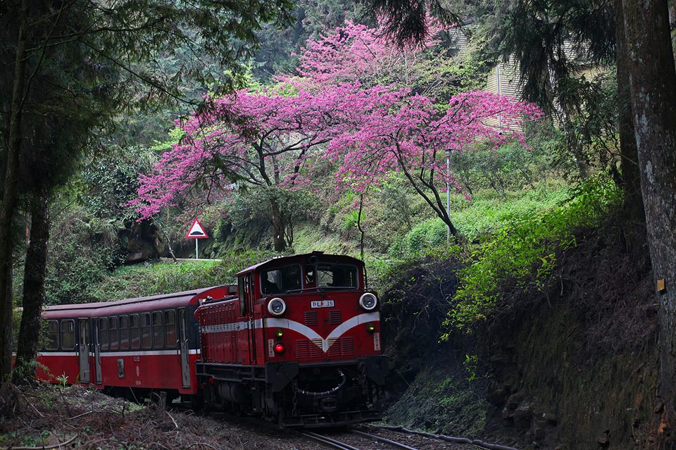 嘉義縣環保局為阿里山森林小火車裝上濾煙器（戴口罩），使得小火車不再排放黑煙。 圖：翻攝自阿里山國家森林遊樂區臉書