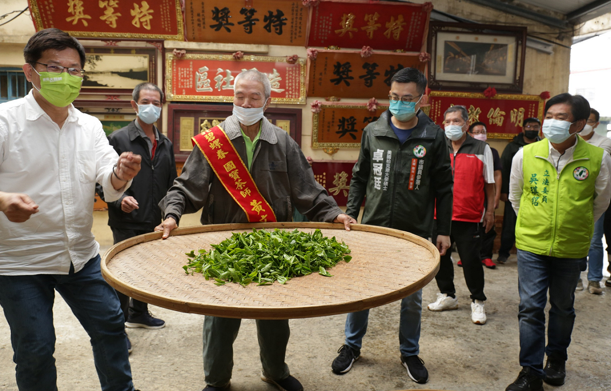 國寶級製茶師黃文雄至今已有 70 年的製茶經驗，今日細心地向大家解說如何製茶。 圖:卓冠廷辦公室提供