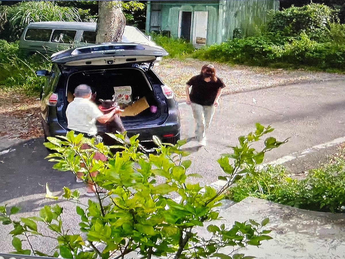 張姓飼主開心帶小八上車回家。 圖：新北市動保處提供