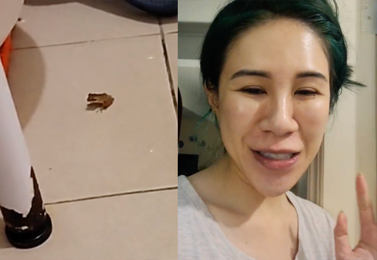 網紅丹妮婊姐半夜直播抓青蛙，驚慌失措的模樣網友全笑翻。 圖：翻攝自丹妮婊姐IG