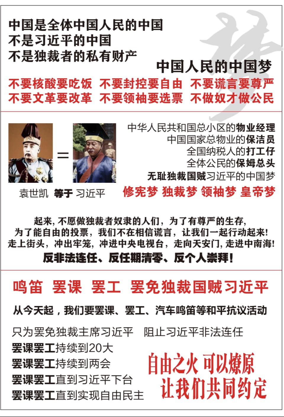 彭立發爭取中國人民能有投票權。 圖：翻攝自汪浩臉書