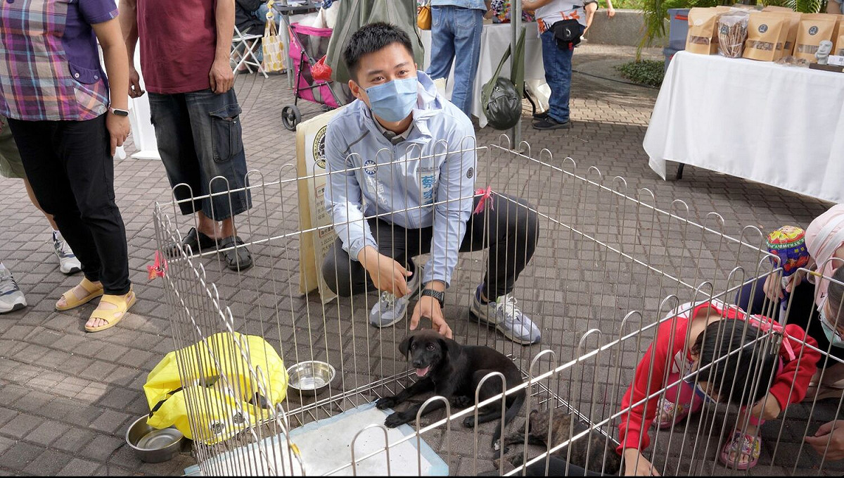 蔡宗豪強調，台南市率先推行零撲殺政策7年，但配套不足，遊蕩犬數量仍高達1.9萬隻，在威脅市民安全，今年已有多起遊蕩犬追車傷人事件，呼籲政府要深刻檢討源頭管制及增加收容空間等問題。 圖：黃博郎／攝