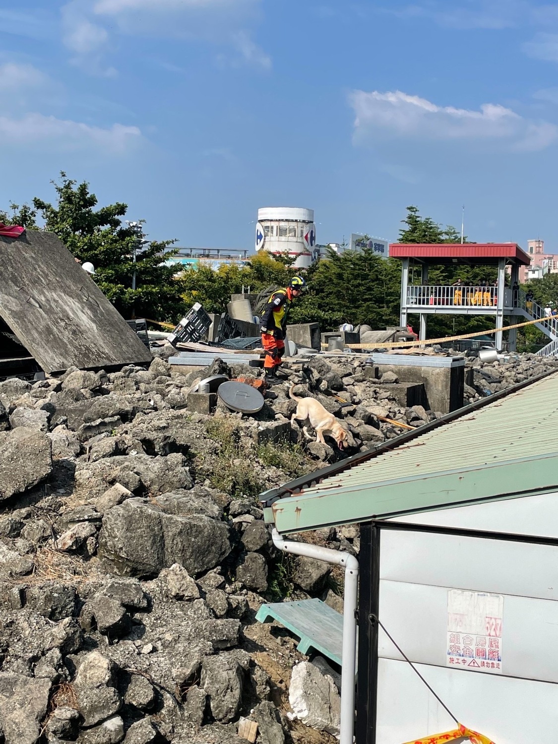 搜救犬在災害現場執行搜救任務時，除了本身靈敏嗅覺與敏捷的素質外，靠著就是領犬員與搜救犬平時專業的訓練以及密不可分的照顧。 圖：新北市消防局提供
