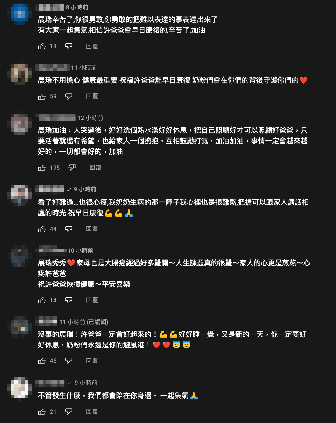 影片一出，引來大批網友在留言區祝福集氣。 圖：翻攝自展榮展瑞YT頻道