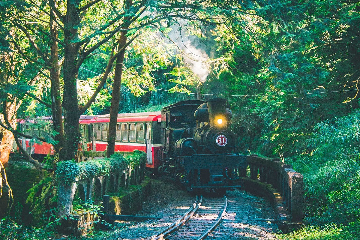 阿里山林鐵預計明年全線通車。 圖：阿里山林鐵及文資處／提供