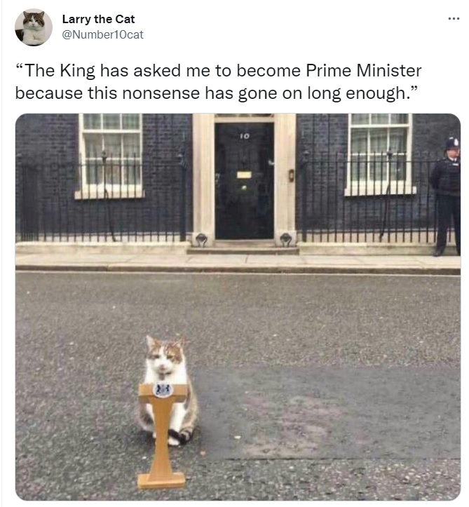 英國第一貓賴瑞在推特上表示「國王要我當首相，因為這種胡說八道已經夠久了」，狠酸英國首相任期很短命。 圖：翻攝自Larry the Cat推特
